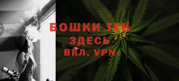 первитин Ельня