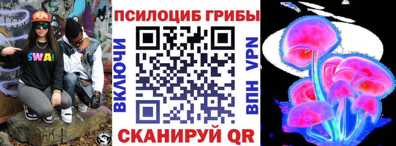Купить где  Карабаш  Псилоцибиновые грибы Psilocybine cubensis 